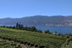 vineyards and lake view, Kelowna wine tour