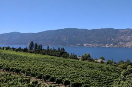 vineyards and lake view, Kelowna wine tour