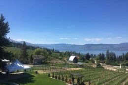 Kelowna BC vineyard