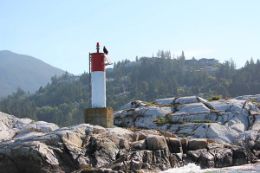 Lighthouse Island on Vancouver Boat Tour