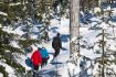 Whistler snowshoeing tour, Backcountry Trails