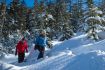 Whistler winter sightseeing activity - snowshoe tour