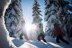 Whistler winter fun things to do - snowshoeing