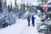 Snowshoeing in Kananaskis, Alberta, a short drive from Calgary