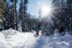 Kananaskis Valley guided snowshoe tour forest