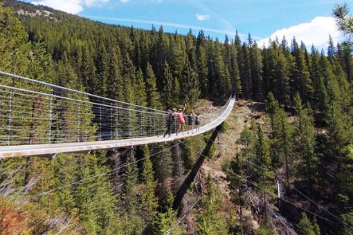 Blackshale Suspension Bridge Hike and Sightseeing Tour, Kananaskis