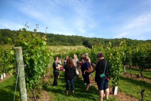 Annapolis Valley NS wineries tour from Halifax