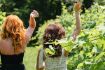 Fun things to do in Halifax - Annapolis Valley wine tour