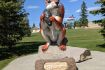 Big squirrel Edson between Edmonton and Jasper Yellowhead Hwy