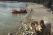 Big Horn Sheep on Jasper Raft Trip wildlife