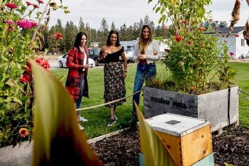 E-Bike Bee Tour with Tastings and Lunch, Kelowna BC E-Bike Bee Tour with Tastings and Lunch, Kelowna BC