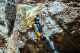 Ziplining on Canyoning Tour Alberta