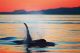 Sunset Whale Watch tour, Parksville, British Columbia