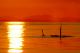 Sunset Whale Watch tour, Cowichan Bay, British Columbia