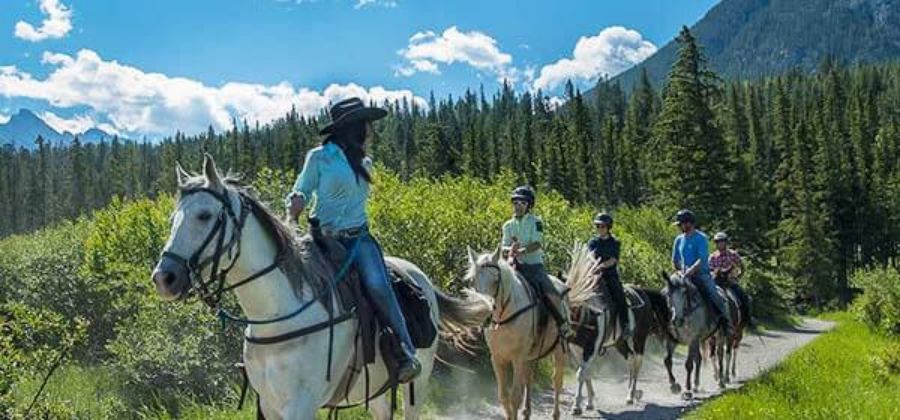 6 Spring Banff Wildlife Encounters: Nature Tours and Safaris 6 Spring Banff Wildlife Encounters: Nature Tours and Safaris