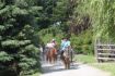 horseback riding Pemberton BC, near Whistler group