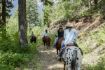 Whistler Pemberton horseback riding mountain trail