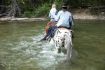 Pemberton horseback riding river crossing