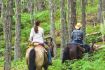 Pemberton horseback riding forest trail