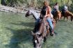 Half Day Birkenhead Lake Guided Horseback Ride with Cowboy Supper