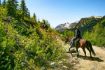 Things to do in summer in Whistler - horseback riding