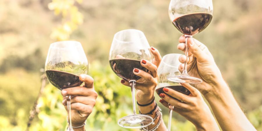 Sip, Sip, Hooray! 8 Wine Tours to Gift This Spring.