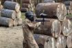 Ottawa paintball Delta Force Stittsville