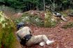 Outdoor fun with paintball - Vancouver Maple Ridge