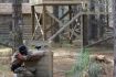 Vancouver Paintball – group and teambuilding exercise