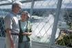 View of Niagara Falls from Skylon Tower