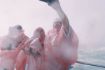 Voyage to the Falls Boat Tour under Niagara Falls