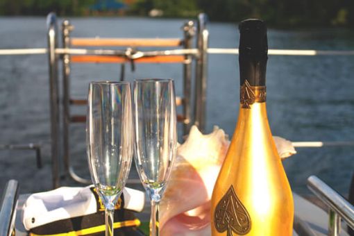Champagne Sailing Cruise Toronto Islands