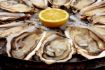 Oysters on Halifax food tour