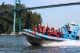 Vancouver Zodiac Boat Tour and Dinner on Bowen Island