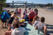 Vancouver Kayak and Coffee guided tour