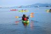 Kayaking Vancouver from Granville Island unique tour