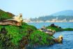 Seal Island Vancouver British Columbia