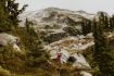 Whistler helicopter with mountain top stop for proposal