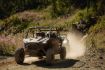 fun things to do in Whistler Off-road RZR tour