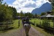 Kananaskis Horseback Riding guided tour