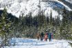 Kananaskis Valley guided snowshoe tour forest