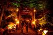 Whistler TAG Day Ticket Vallea Lumina