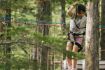 Whistler TAG Day Ticket Aerial Obstacle Course