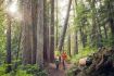 Whistler TAG Day Ticket Ancient Cedars Hike