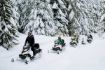 Whistler winter fun, family snowmobile tour
