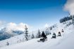 Whistler BC winter activity snowmobiling mountain trails