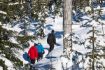 Whistler snowshoeing tour, Backcountry Trails