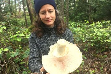 Vancouver Wild Mushroom Foraging Field Trip Vancouver Wild Mushroom Foraging Field Trip