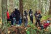Wild Mushroom Foraging Guided Field Trip
