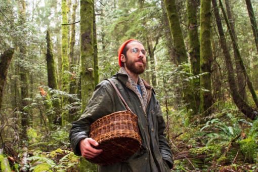 Whistler Wild Mushroom Foraging